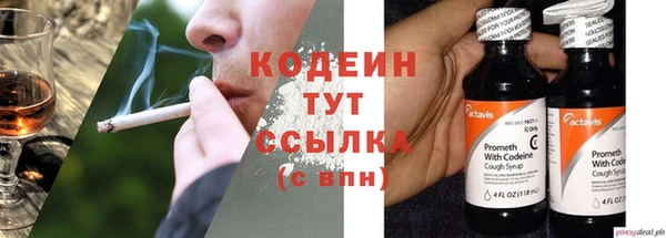 стаф Осташков