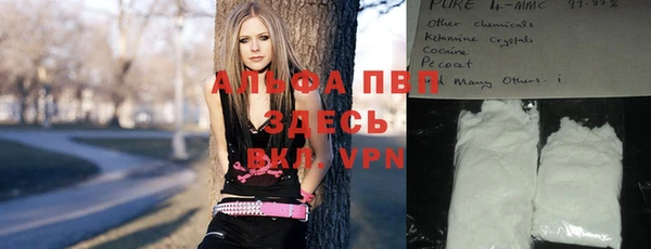 стаф Осташков