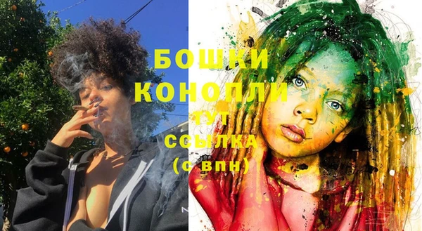 гидра Осинники