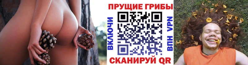 Псилоцибиновые грибы мухоморы  blacksprut сайт  Камышин  наркота 