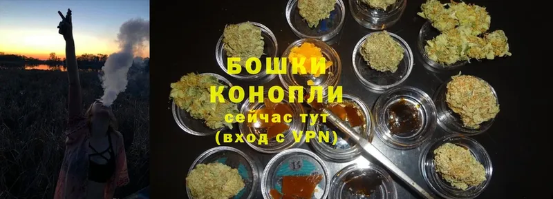 Марихуана SATIVA & INDICA  ссылка на мегу ONION  Камышин 